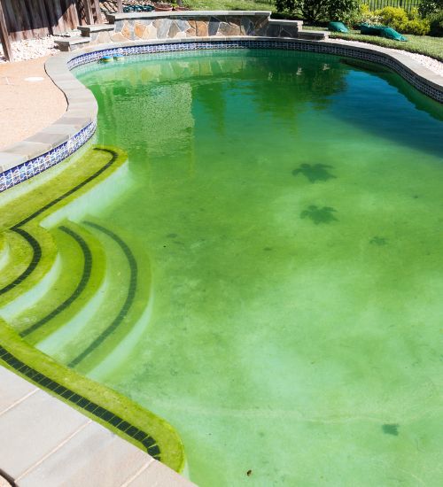 green pool water fix