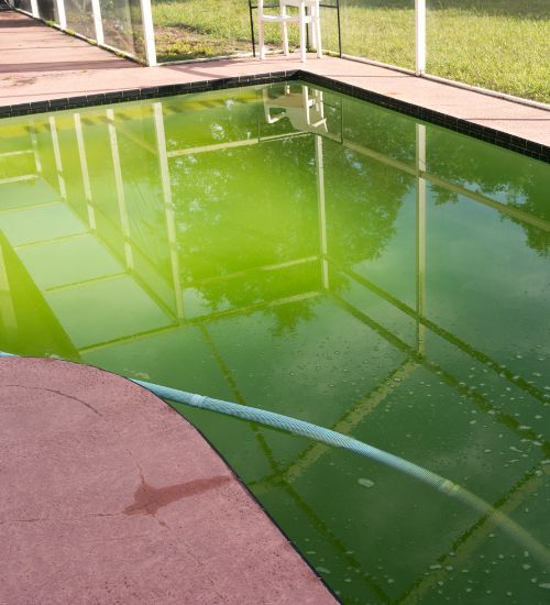 green pool water